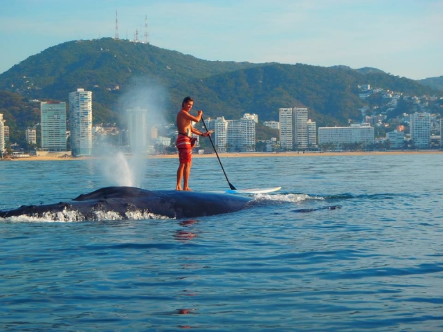 Con ballenas